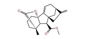 Gibberelline GA73 methyl ester